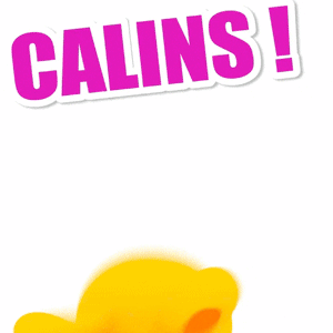 Gif câlin lapin